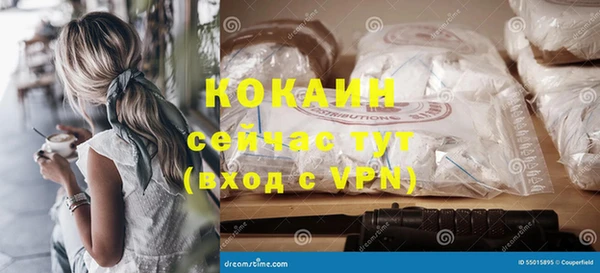 твердый Осинники