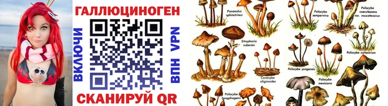 mega рабочий сайт  Нарьян-Мар  Псилоцибиновые грибы Psilocybe 